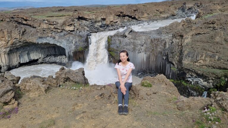 名石龍岩石に宿かるフーランと岩ひば 誰が、いつ、何のために…？山の上に鎮座する重さ推定800トンの巨石